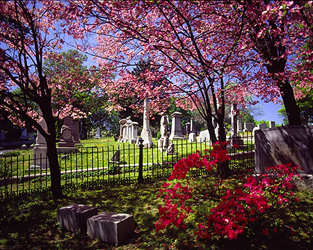 Hollywood Cemetery in Spring, Richmond, VA